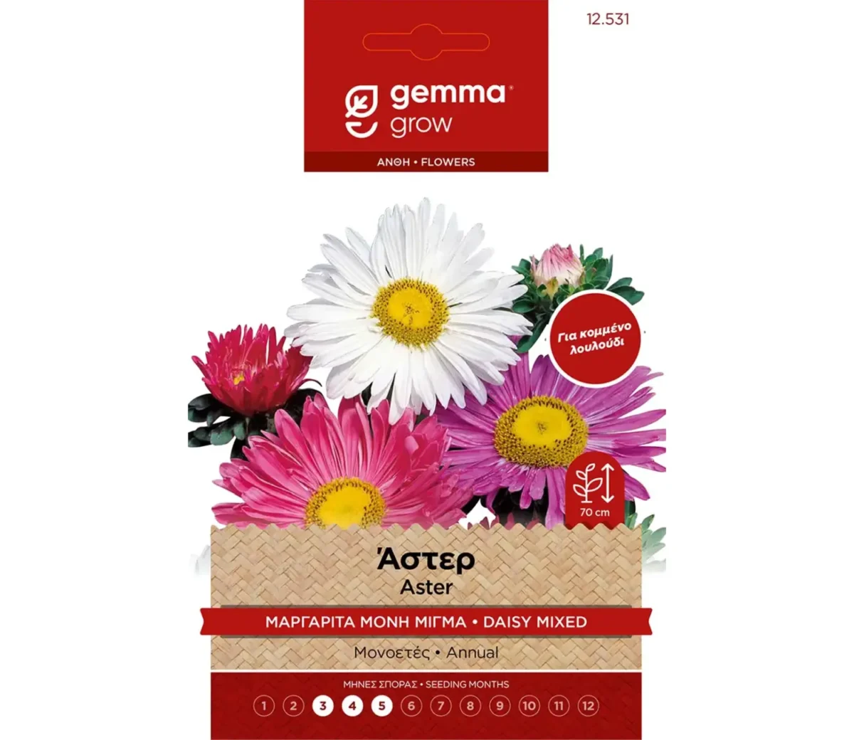 Gemma Άστερ Μαργαρίτα Μίγμα φάκελος σπόρων - Image 1