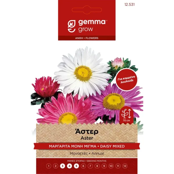 Gemma Άστερ Μαργαρίτα Μίγμα φάκελος σπόρων
