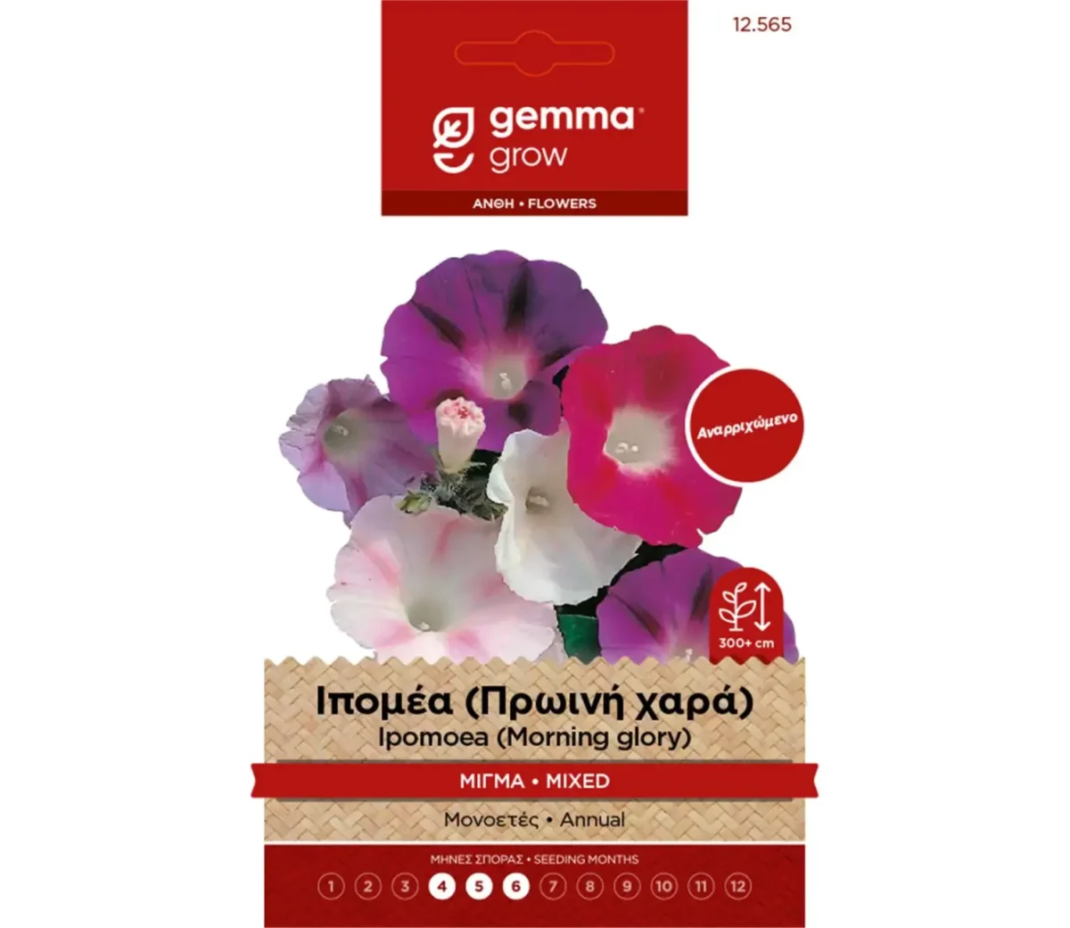Gemma Ιπομέα (Πρωινή Χαρά) Μίγμα φάκελος σπόρων - Image 1
