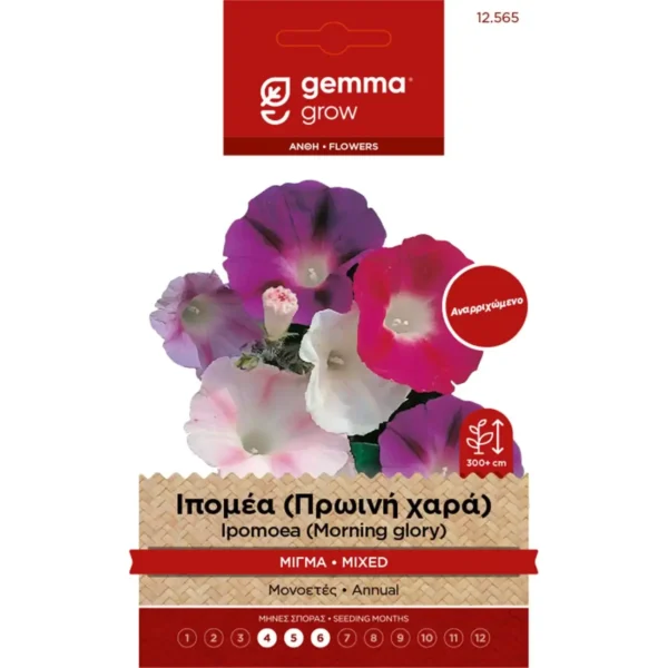 Gemma Ιπομέα (Πρωινή Χαρά) Μίγμα φάκελος σπόρων