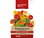 Gemma Καπουτσίνο Διπλό Νάνο φάκελος σπόρων