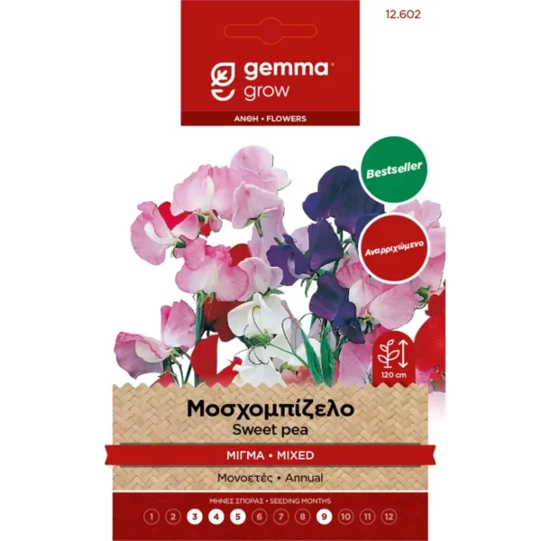 Gemma Μοσχομπίζελο Αναρριχώμενο Μίγμα φάκελος σπόρων