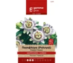 Gemma Πασιφλόρα (Ρολογιά) Αναρριχώμενη φάκελος σπόρων