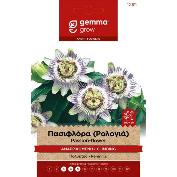 Gemma Πασιφλόρα (Ρολογιά) Αναρριχώμενη φάκελος σπόρων