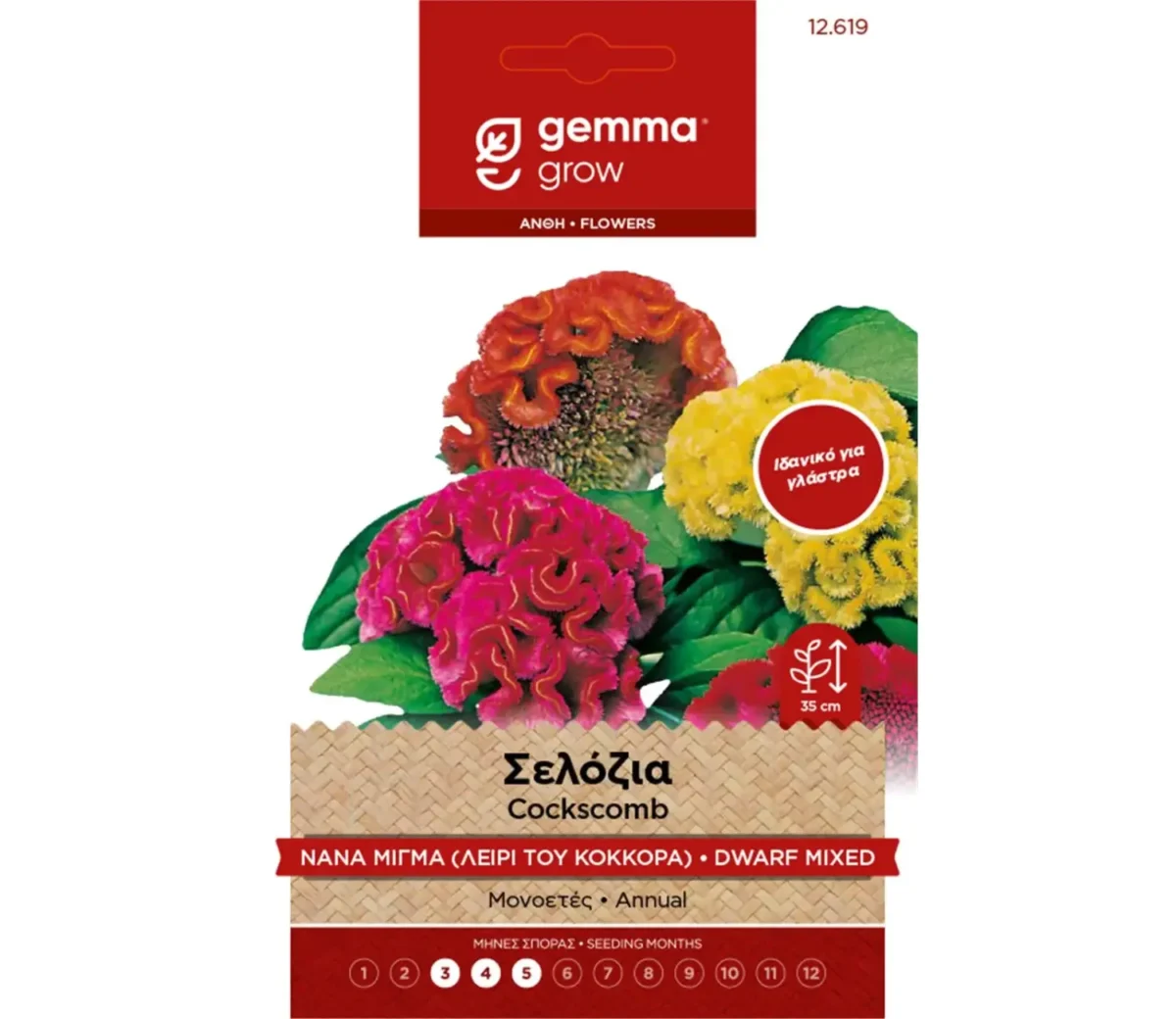 Gemma Σελόσια Νάνα Διπλή Μίγμα φάκελος σπόρων - Image 1