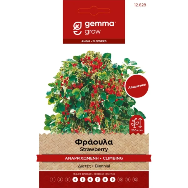 Gemma Φράουλα Αναρριχώμενη φάκελος σπόρων