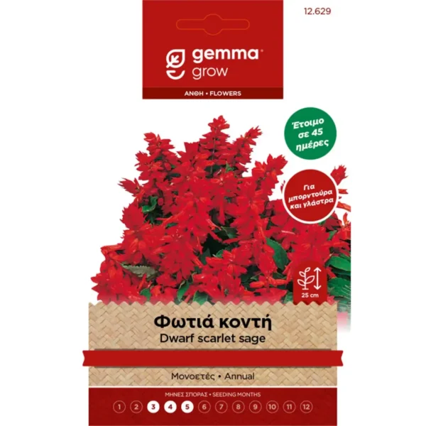 Gemma Φωτιά Νάνα φάκελος σπόρων