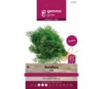 Gemma Άνηθος φάκελος σπόρων