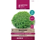 Gemma Βασιλικός Ελληνικός Σγουρός φάκελος σπόρων