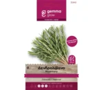 Gemma Δενδρολίβανο φάκελος σπόρων