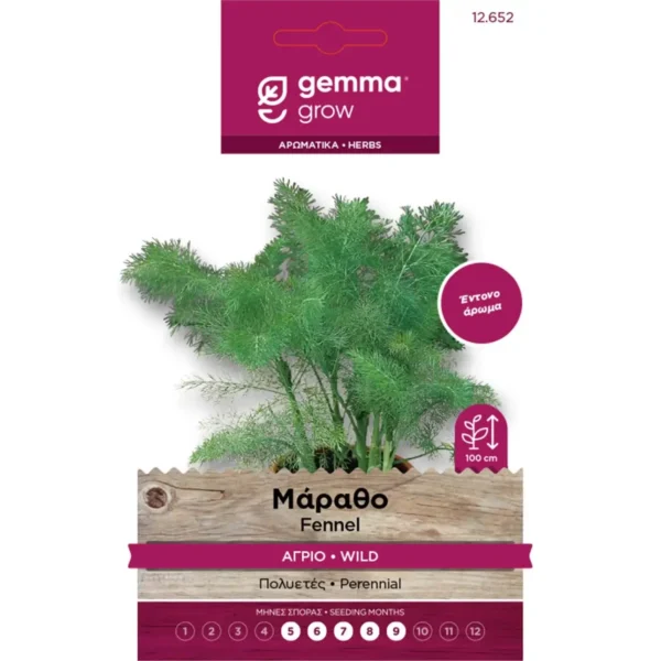 Gemma Μάραθο Άγριο φάκελος σπόρων