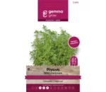 Gemma Ρίγανη φάκελος σπόρων