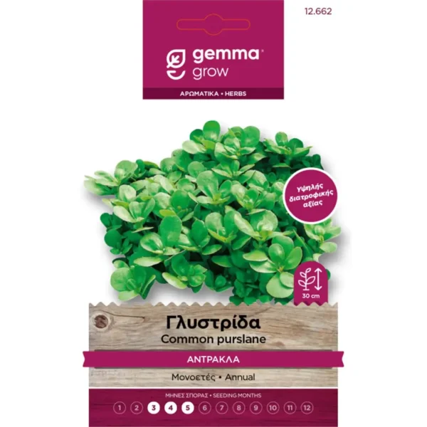 Gemma Γλυστρίδα (Αντράκλα) φάκελος σπόρων