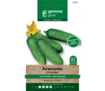 Gemma Αγγουράκι για Τουρσί φάκελος σπόρων