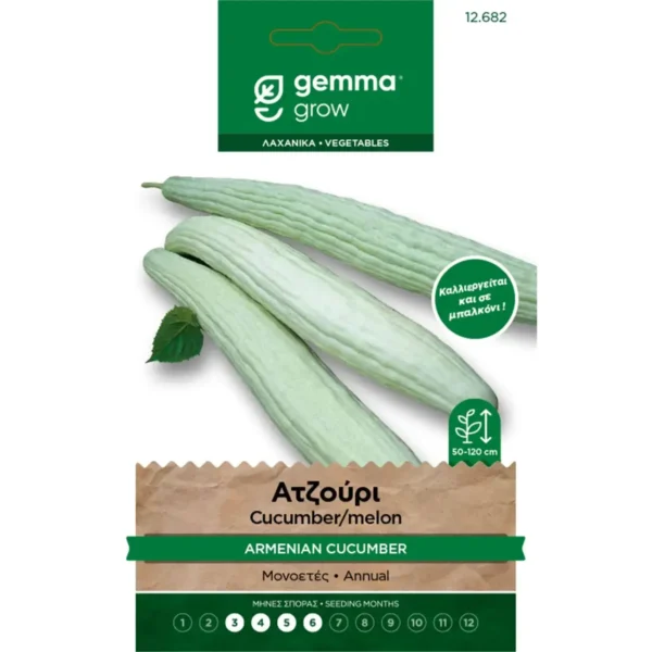 Gemma Ατζούρι φάκελος σπόρων