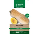 Gemma Κολοκύθα Γλυκιά φάκελος σπόρων