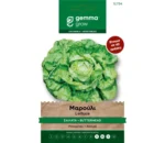 Gemma Μαρούλι Σαλάτα φάκελος σπόρων