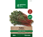Gemma Ραδίκι Ιταλικό φάκελος σπόρων