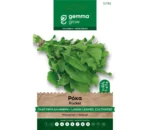 Gemma Ρόκα Πλατύφυλλη Ήμερη φάκελος σπόρων