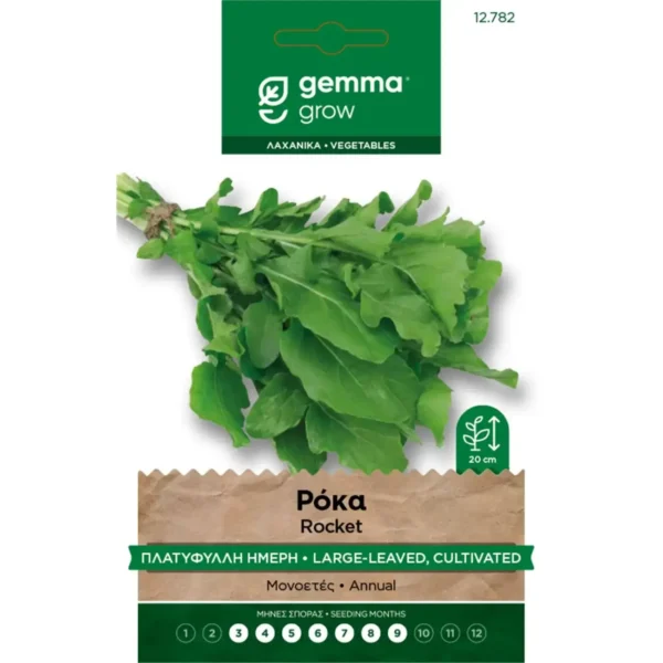 Gemma Ρόκα Πλατύφυλλη Ήμερη φάκελος σπόρων