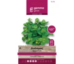 Gemma Δυόσμος φάκελος σπόρων