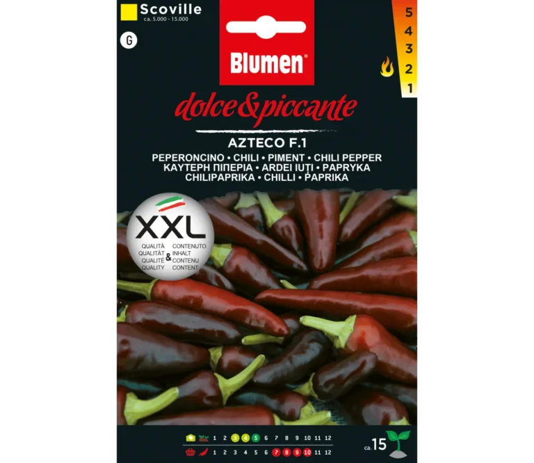 Azteco 1