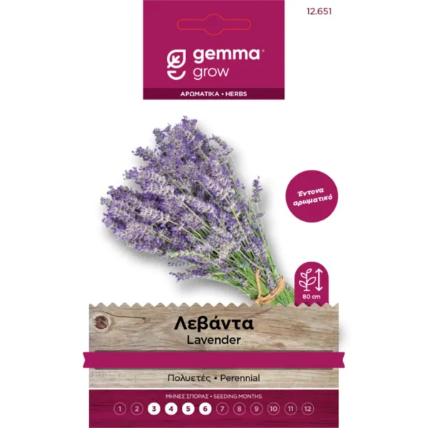 Gemma Λεβάντα φάκελος σπόρων