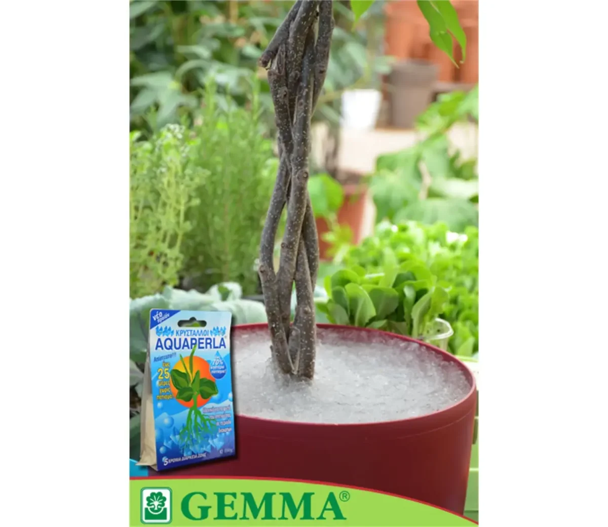 Gemma Aquaperla Κρύσταλλοι αποθήκευσης νερού 100gr - Image 3