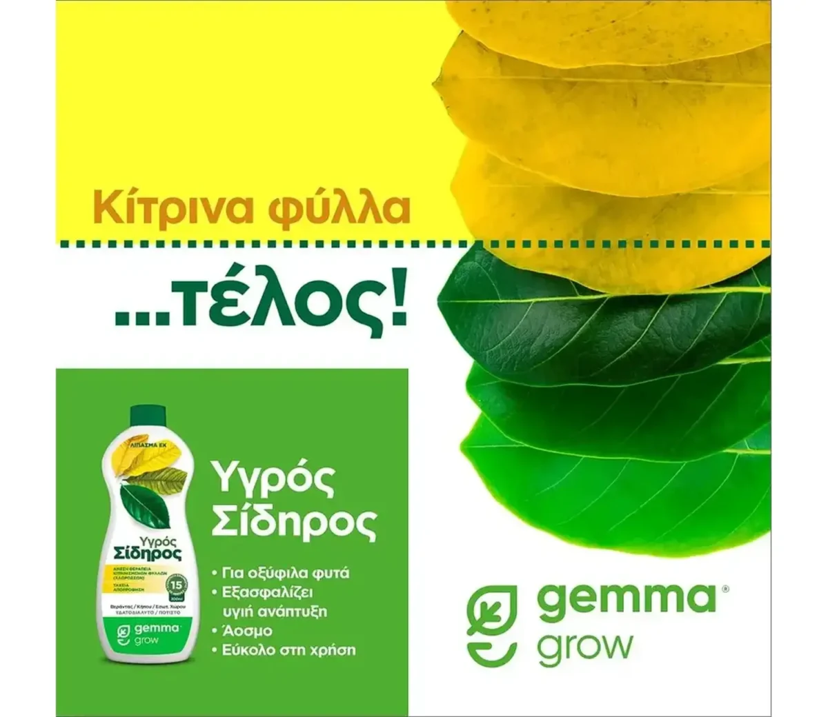 Gemma Υγρός σίδηρος 300 ml - Image 4
