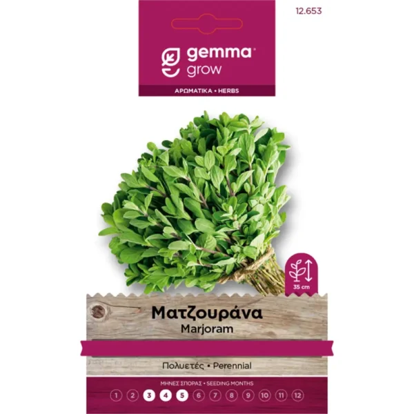 Μαντζουράνα (Origanum majorana) | Σπόροι Αρωματικών Φυτών Gemma