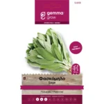 Φασκόμηλο (Salvia officinalis) | Σπόροι Αρωματικών Φυτών Gemma